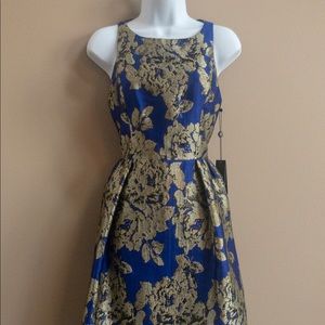 Knee Length Adrianna Papell Dress